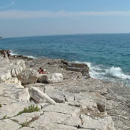 With Garden In Barbariga